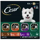Cesar Wet Dog Food Variety Pack, 3.5 Oz Trays (24 Pack)